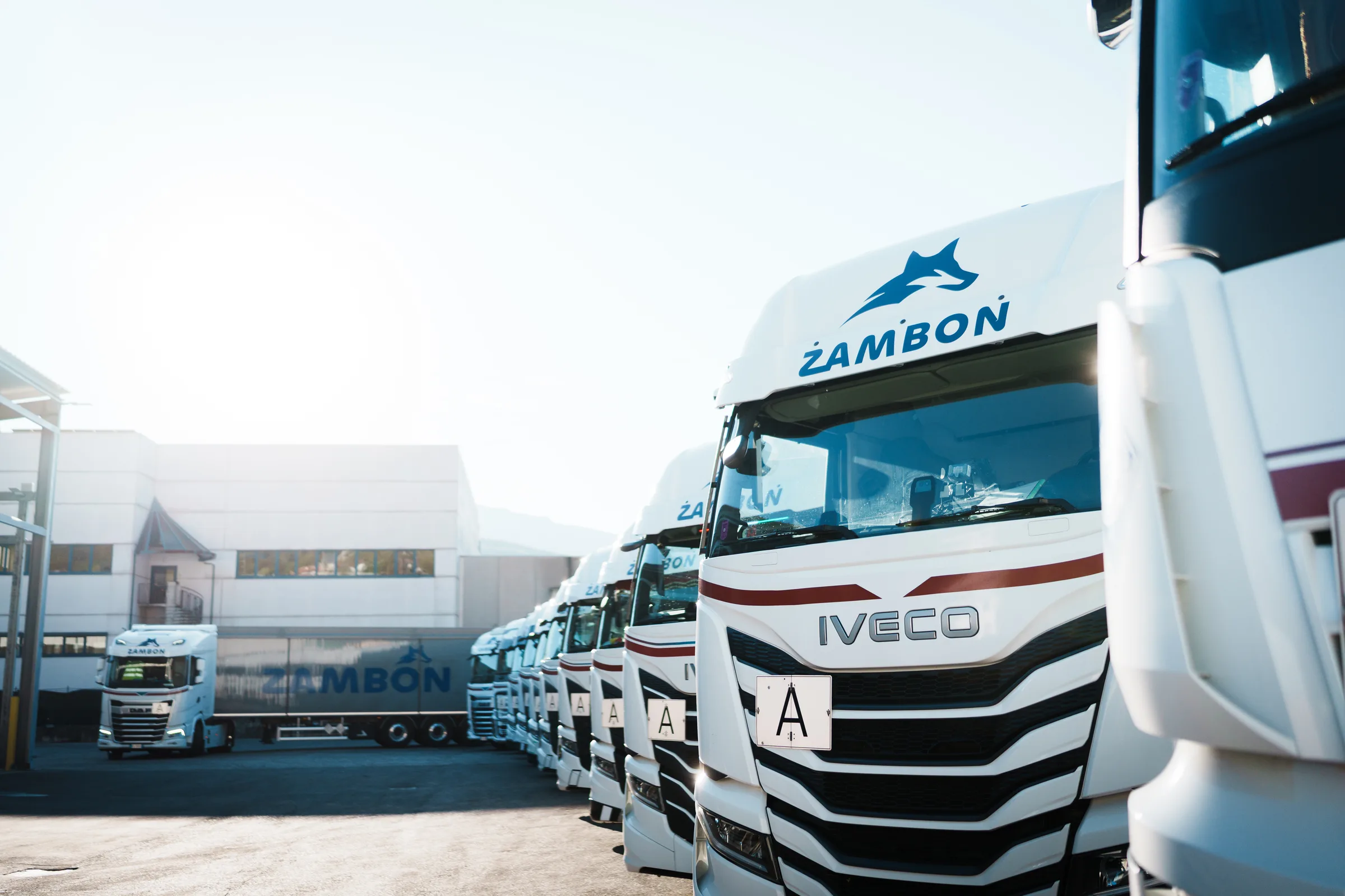 Trattore stradale IVECO della flotta Zambon