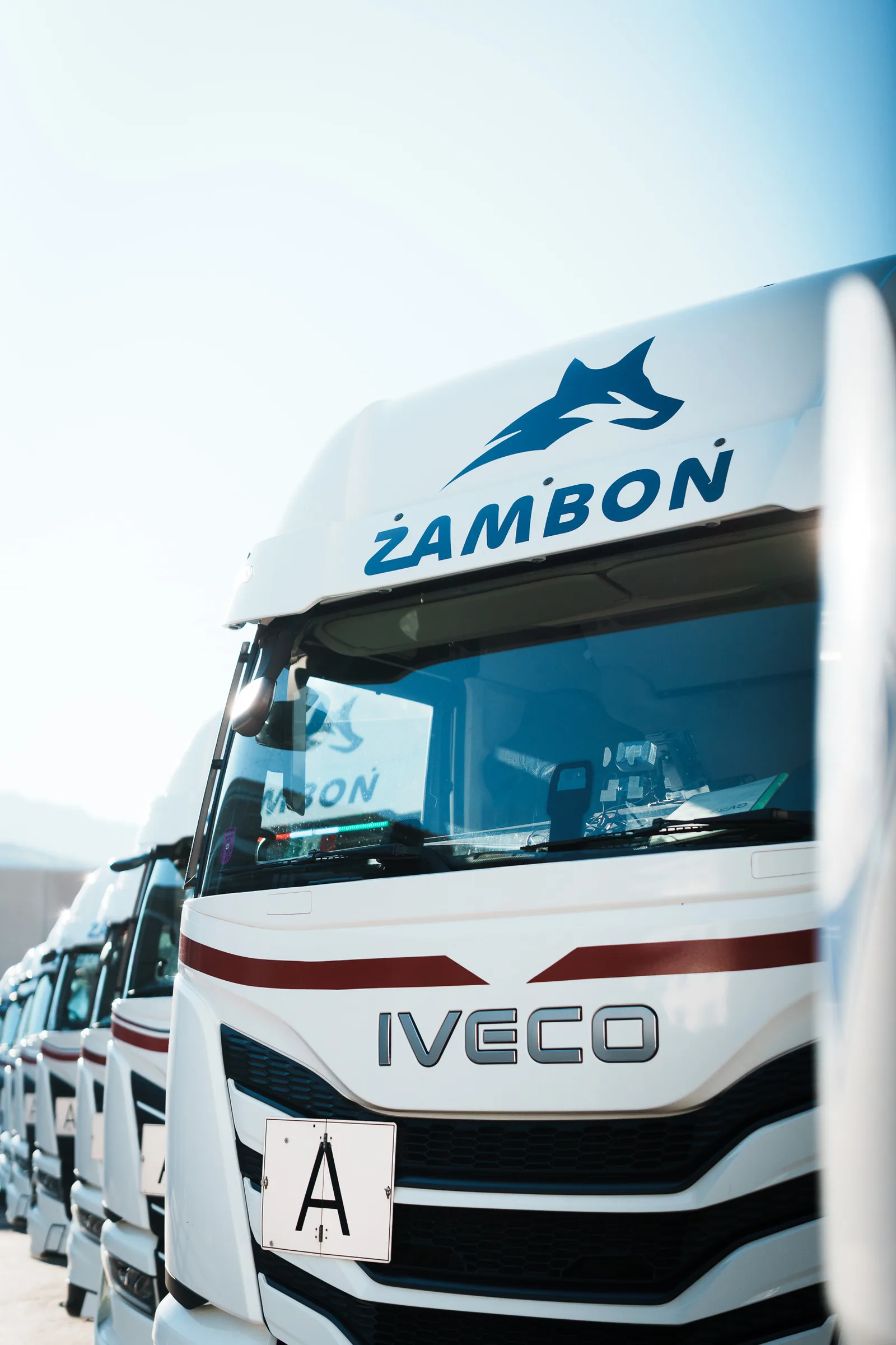 Megatrailer telonati